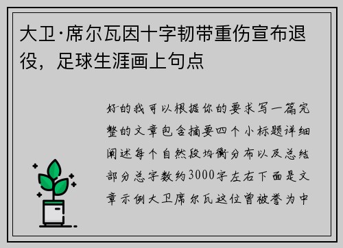 大卫·席尔瓦因十字韧带重伤宣布退役，足球生涯画上句点